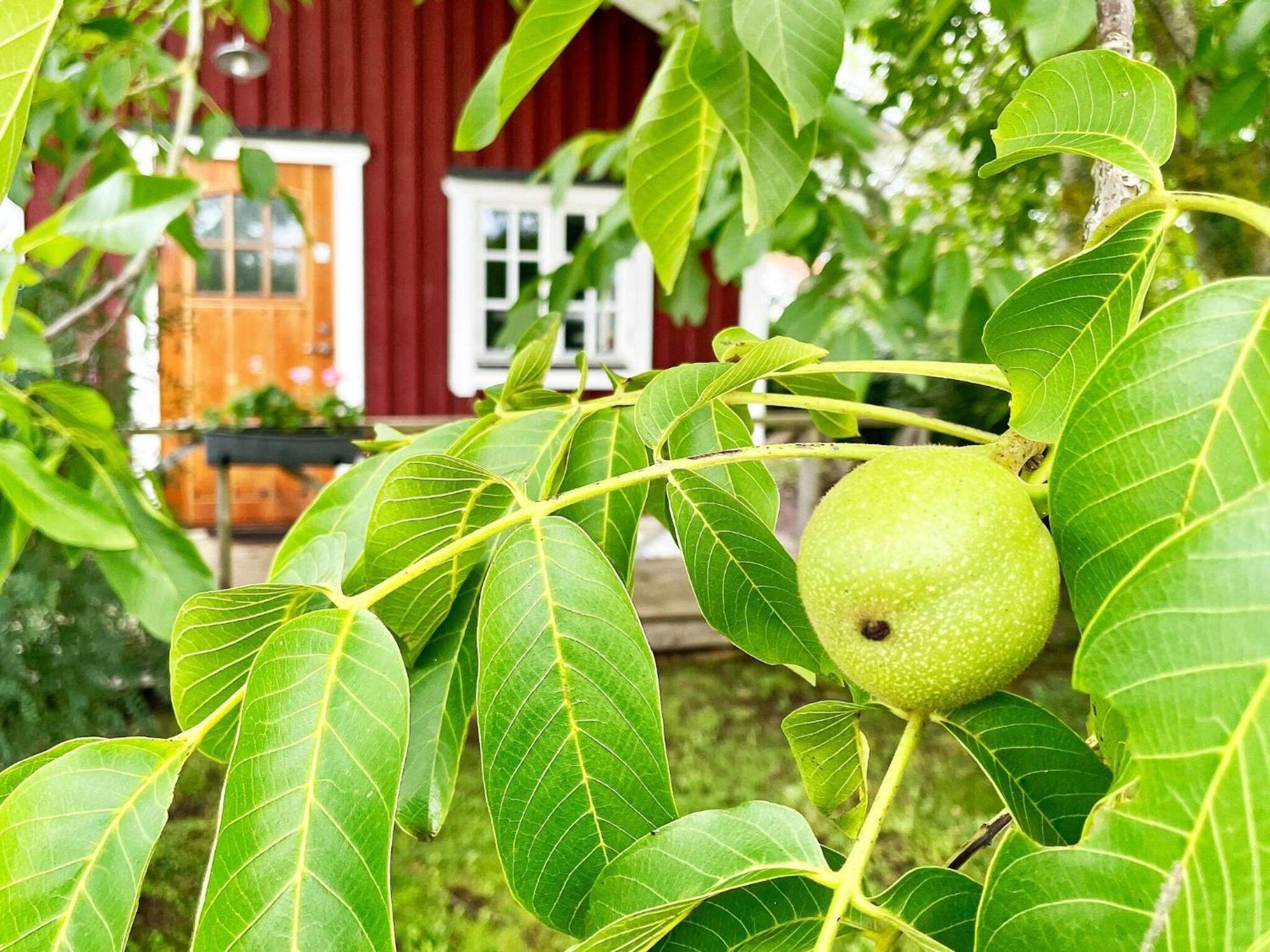 Holiday Home Malaretorpsvaegen Borgholm Zewnętrze zdjęcie